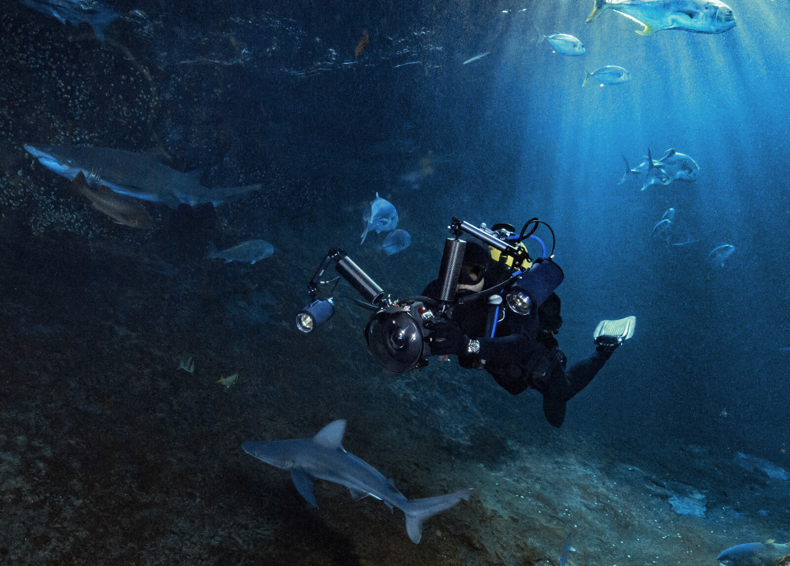 Bell & Ross BR 03-92 Diver Blue Automatic BR0392-D-BU-ST/SRB (Blue Dial / 42mm)